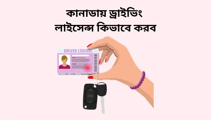 কানাডায় ড্রাইভিং লাইসেন্স কিভাবে করব